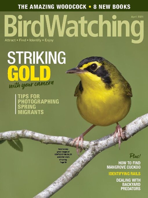 Title details for BirdWatching by Madavor Media, LLC - Available